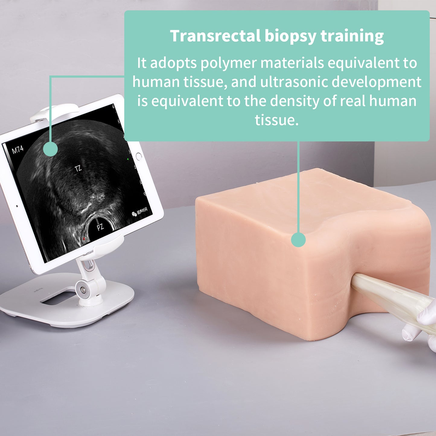SZEMENTMD Prostate ultrasound puncture model EMM-QA