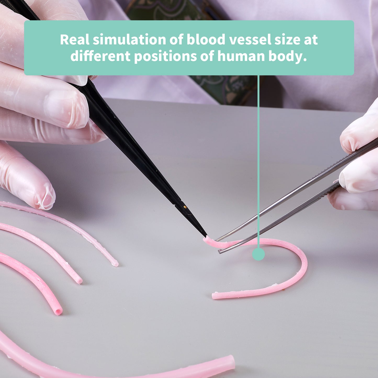 Human simulated blood vessel model EMM-VA
