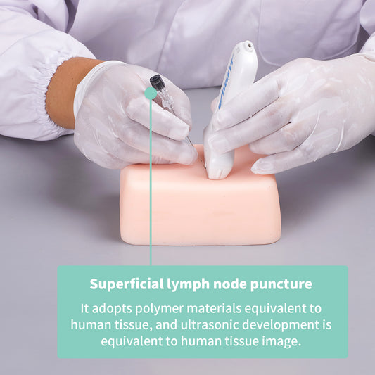 SZEMENTMD The superficial lymph node ultrasound puncture model EMM-JA