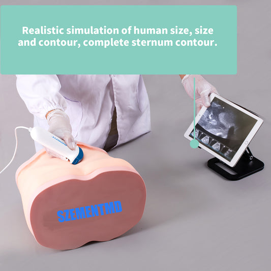 liver ultrasound puncture model EMM-LM