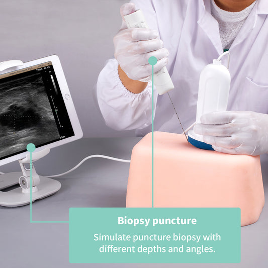SZEMENTMD Abdominal Ultrasound Puncture Model EMM-FA2