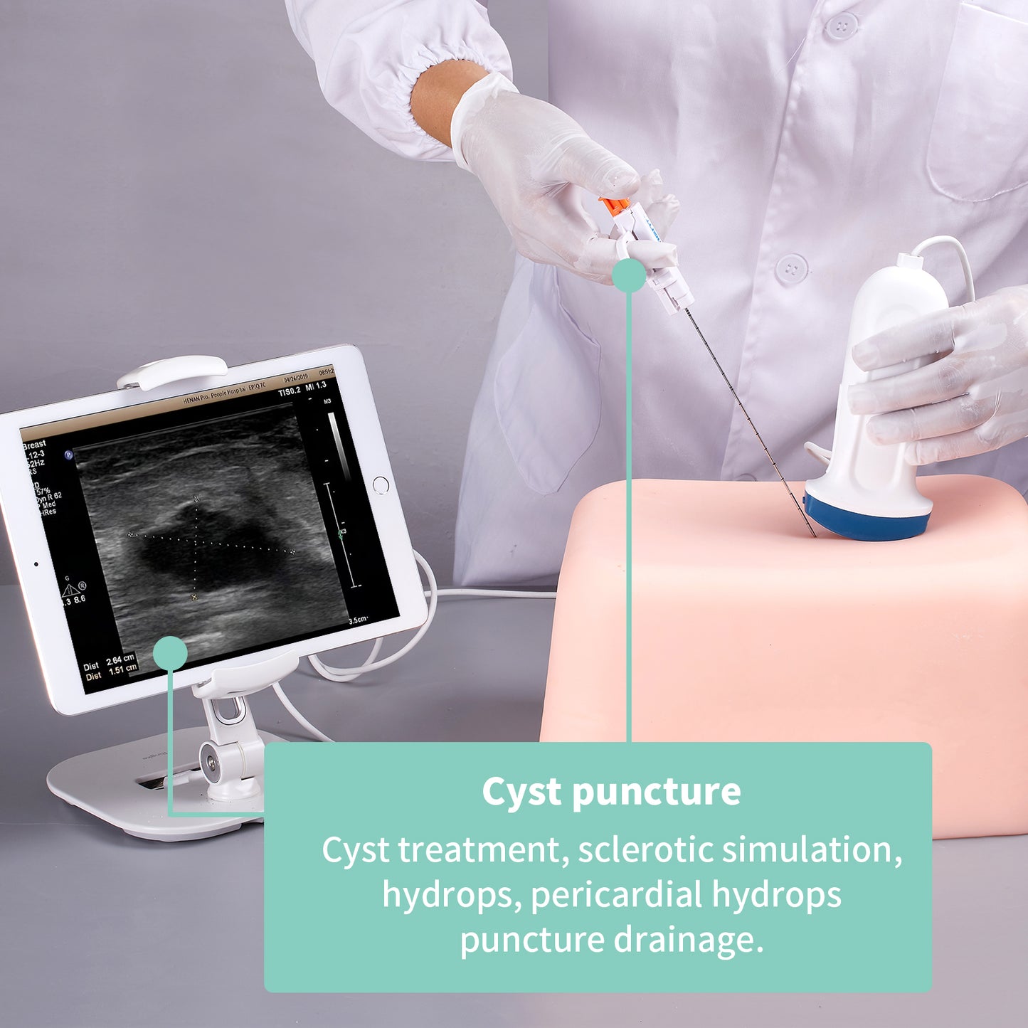 SZEMENTMD Abdominal Ultrasound Puncture Model EMM-FA1