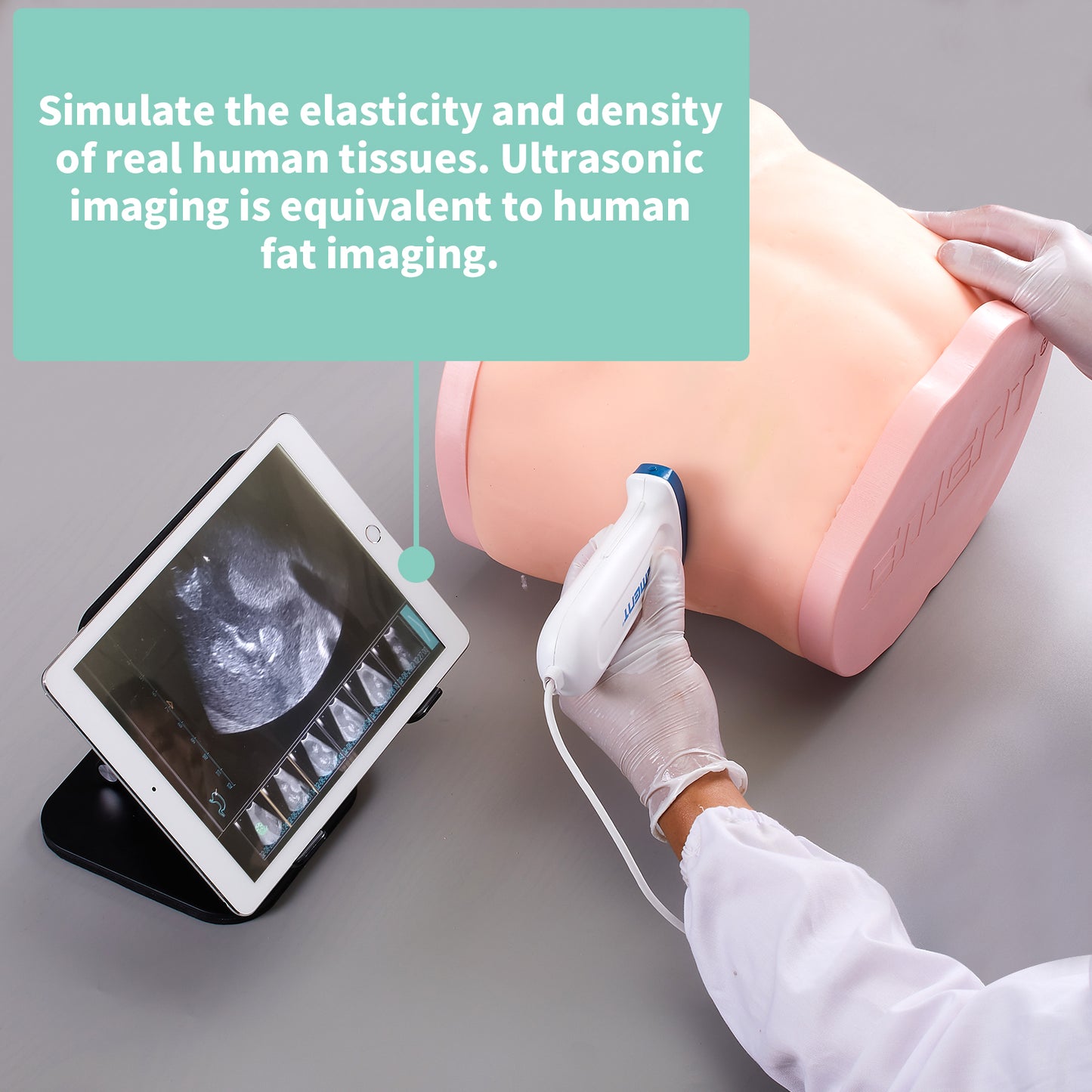 liver ultrasound puncture model EMM-LM