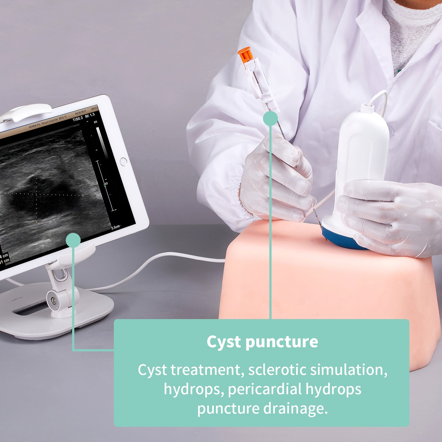 SZEMENTMD Abdominal Ultrasound Puncture Model EMM-FA2