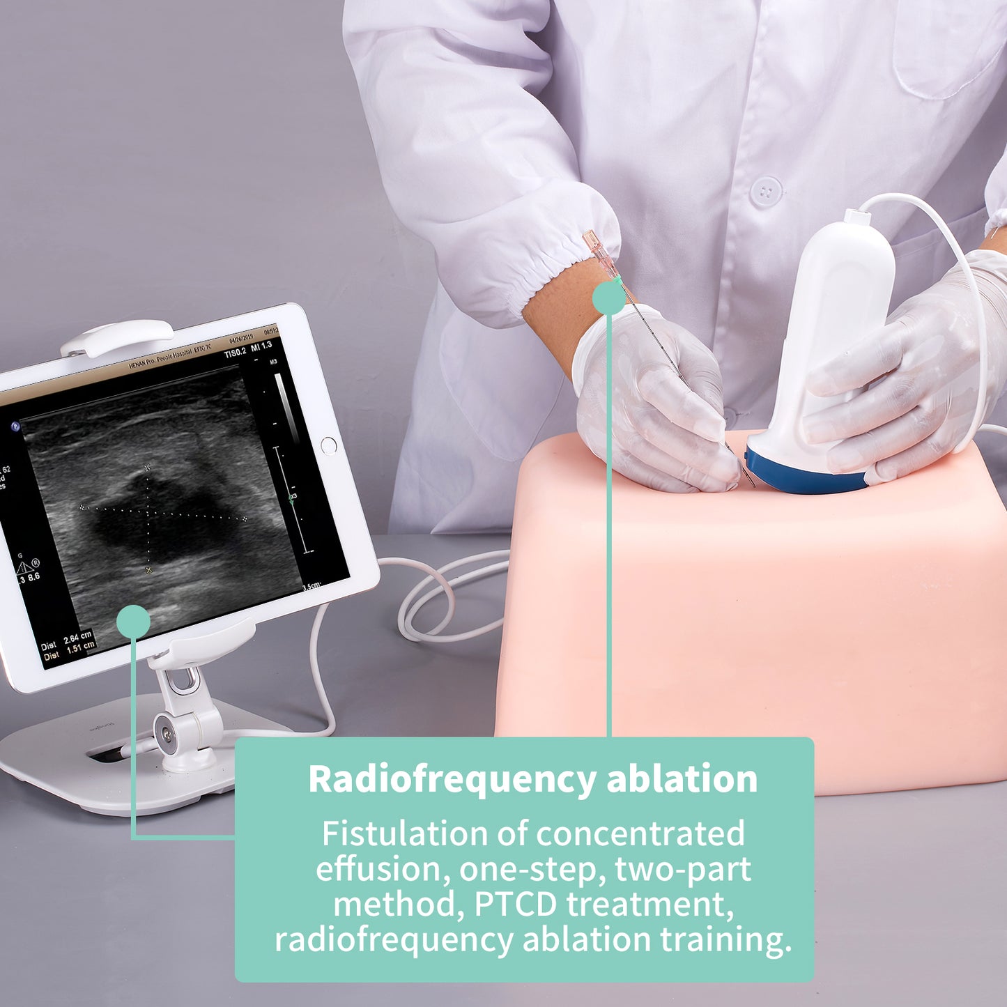 SZEMENTMD Abdominal Ultrasound Puncture Model EMM-FA1