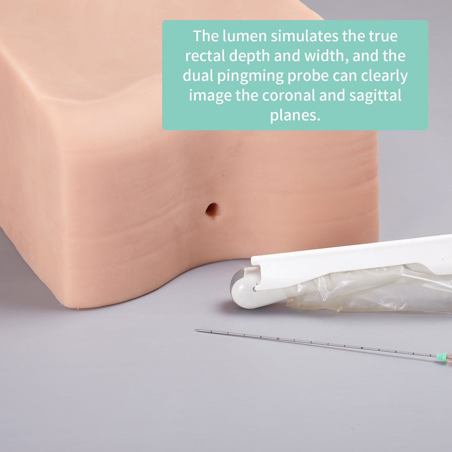 SZEMENTMD Prostate ultrasound puncture model EMM-QA