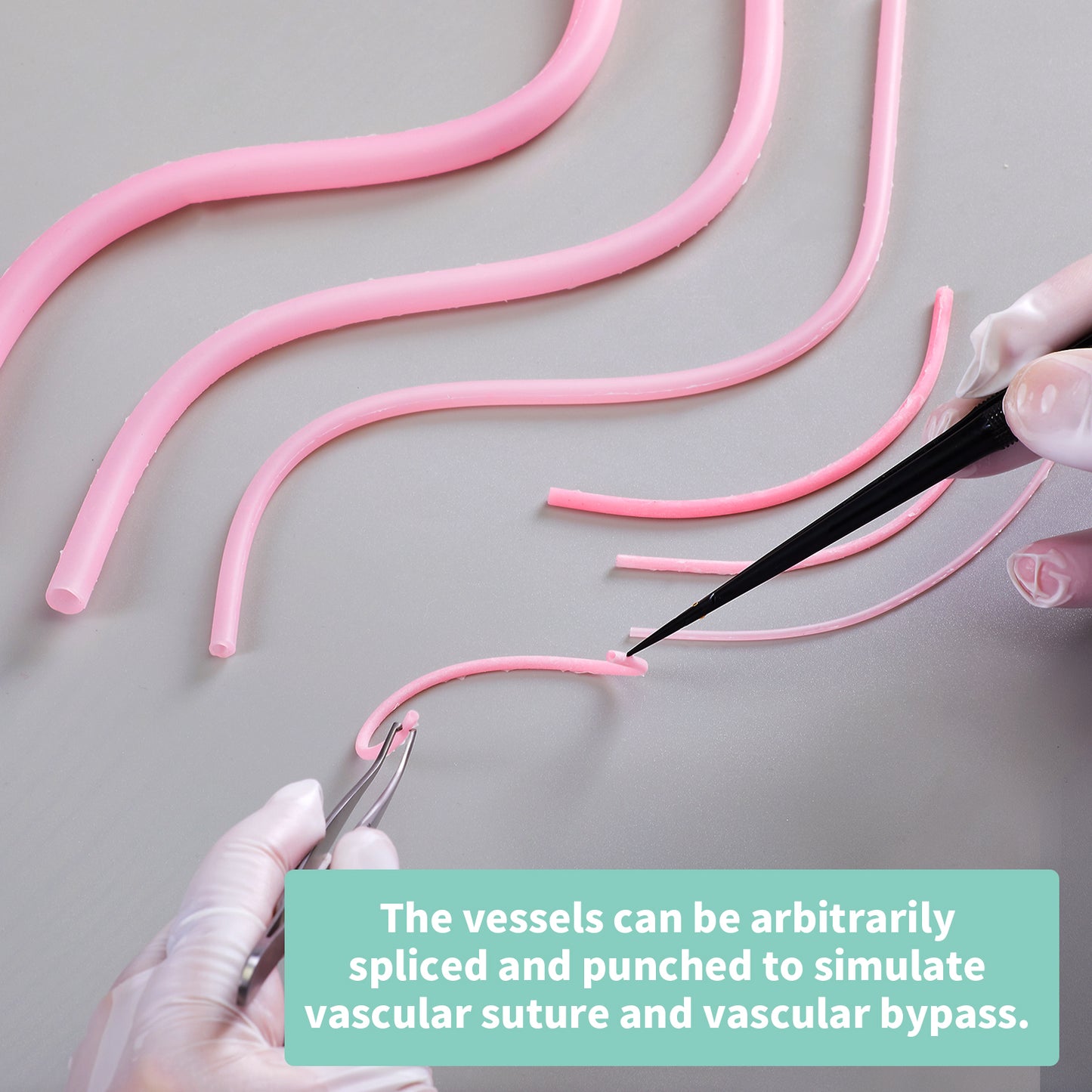 Human simulated blood vessel model EMM-VA