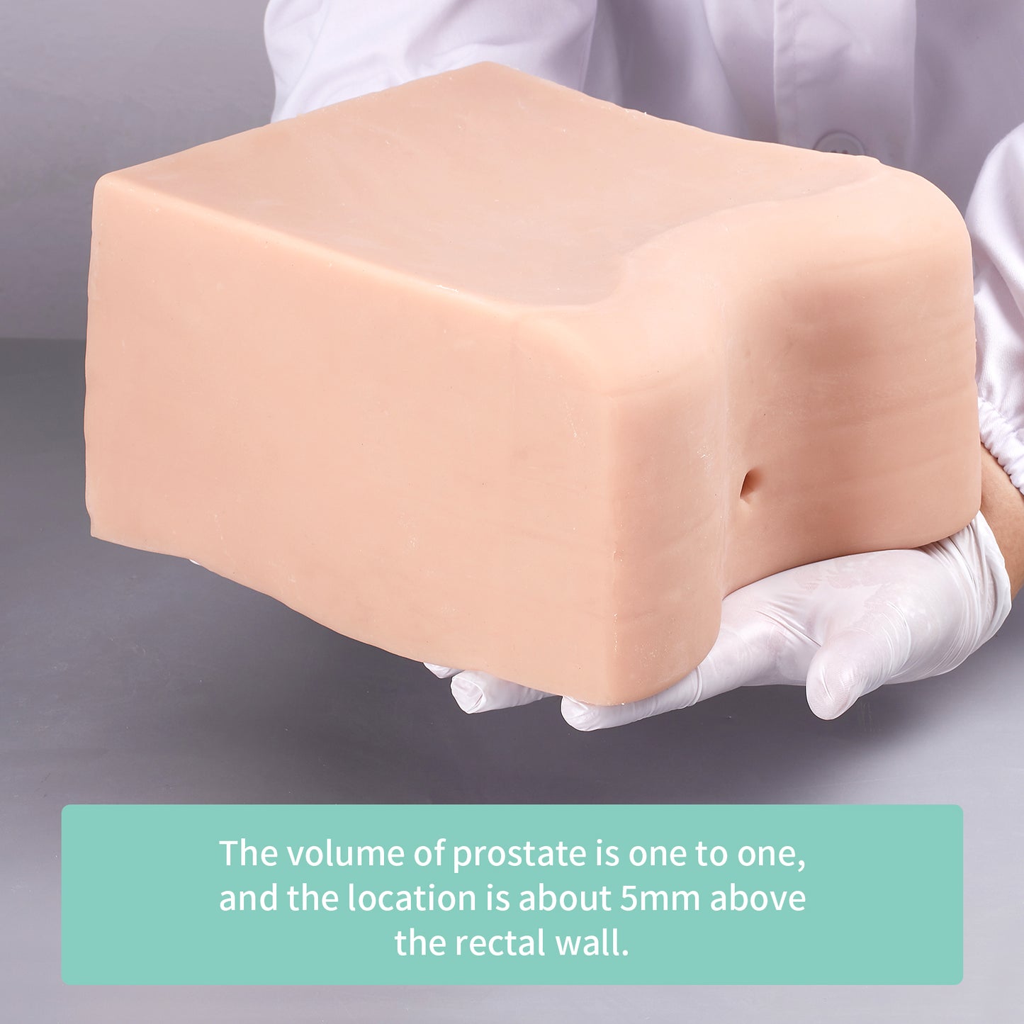 SZEMENTMD Prostate ultrasound puncture model EMM-QA