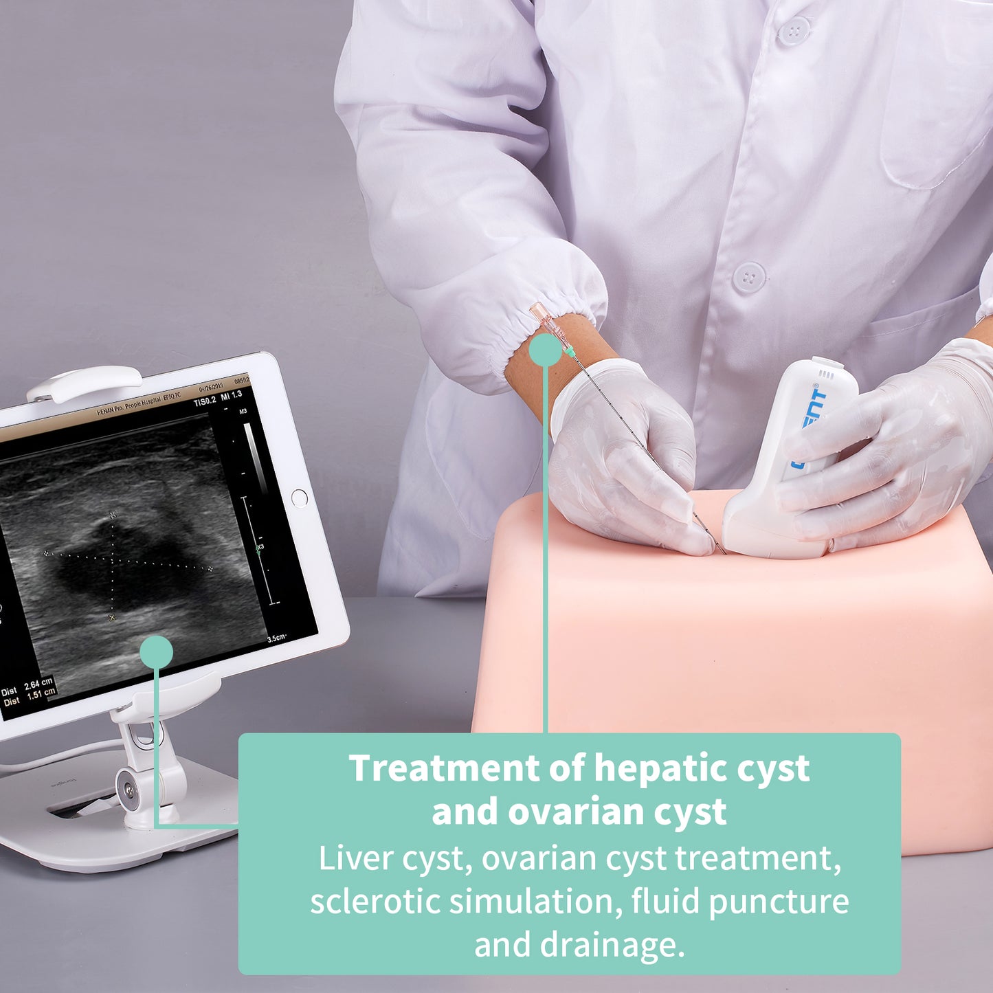 SZEMENTMD Abdominal Ultrasound Puncture Model EMM-FA1