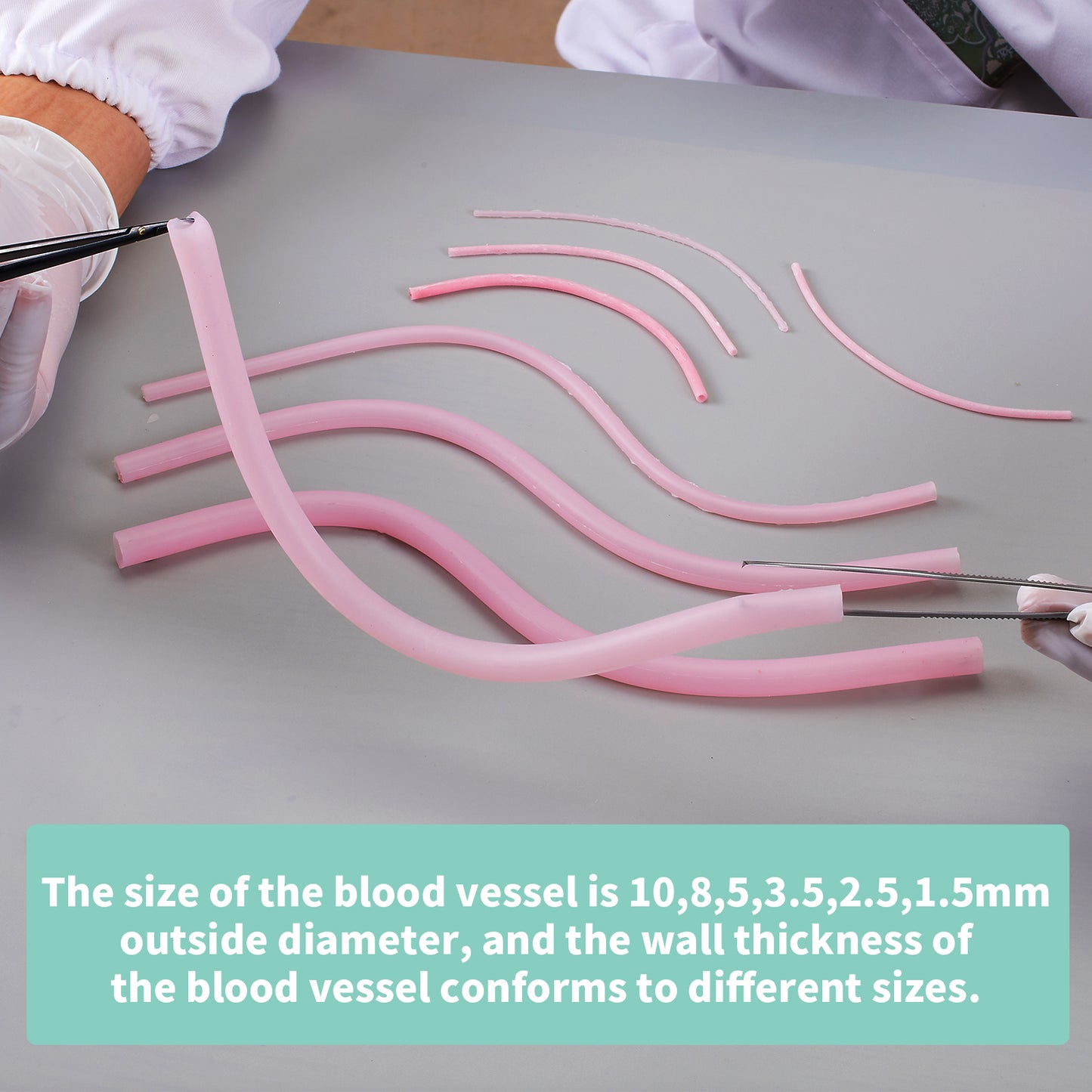 Human simulated blood vessel model EMM-VA