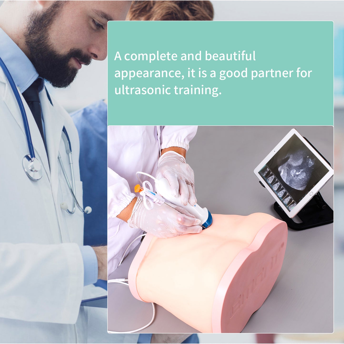 liver ultrasound puncture model EMM-LM