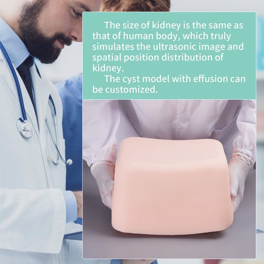 SZEMENTMD Abdominal Ultrasound Puncture Model EMM-FA1