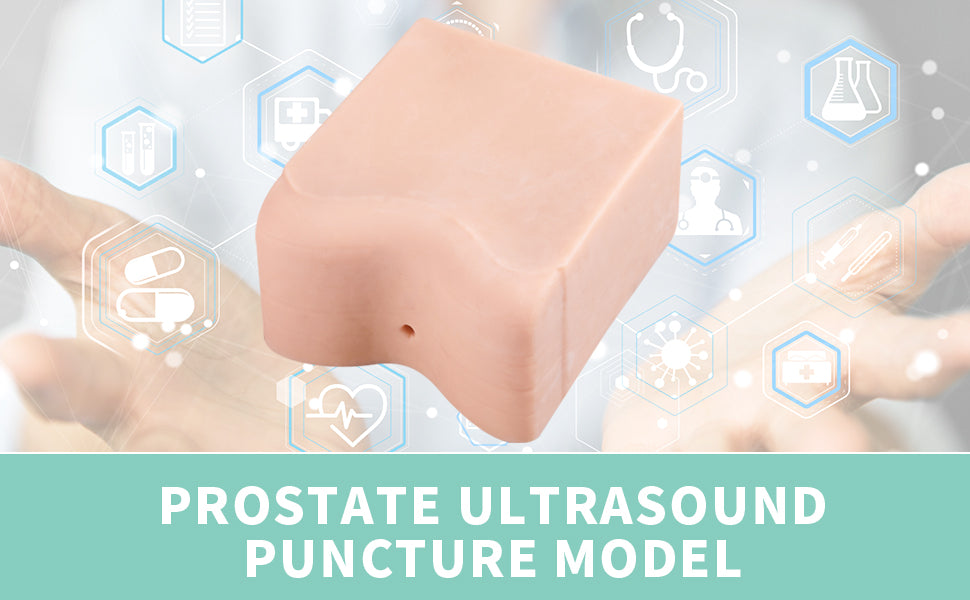 SZEMENTMD Prostate ultrasound puncture model EMM-QA