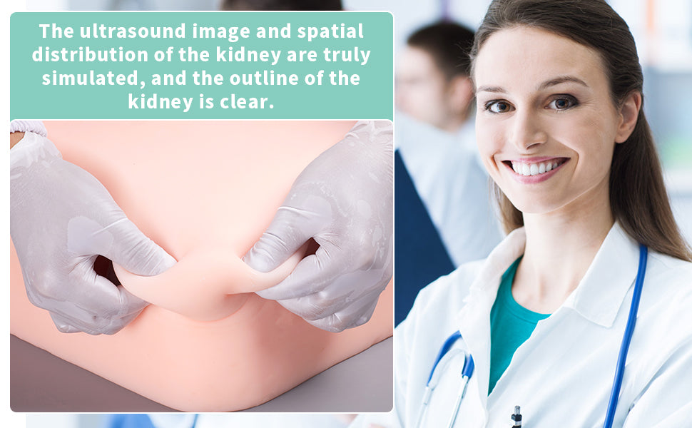 SZEMENTMD Abdominal Ultrasound Puncture Model EMM-FA1