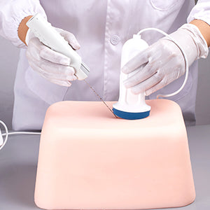 SZEMENTMD Abdominal Ultrasound Puncture Model EMM-FA1